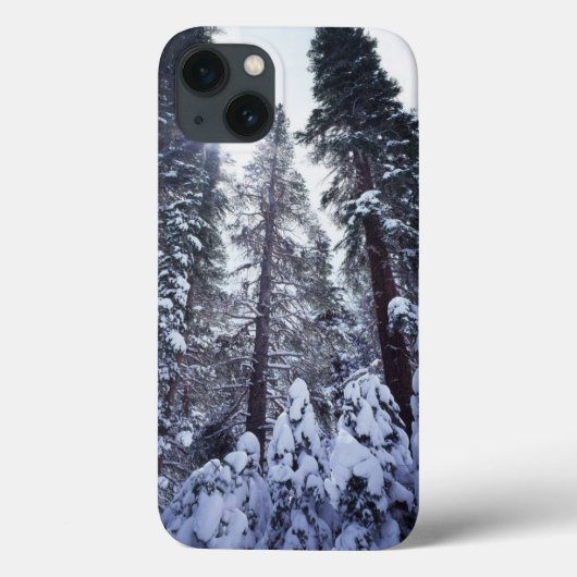 Coques Case-Mate iPhone Californie, Sierra Nevada Mountains 9 (Verso)