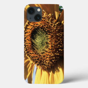 Etui iPhone Case-Mate Californie, Un Tournesol Mammouth (Helianthus) 1