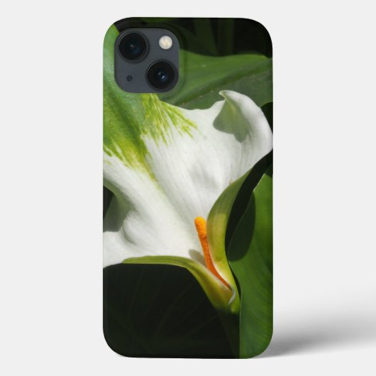 Coques Case-Mate iPhone Calla Lily, Zantedeschia (Verso)