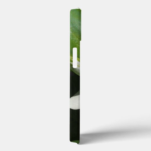 Coques Case-Mate iPhone Calla Lily, Zantedeschia (Verso / Droite)