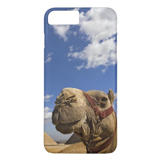 Coques Case-Mate iPhone Camel devant les pyramides de Gizeh, Egypte, (Dos)