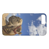 Coques Case-Mate iPhone Camel devant les pyramides de Gizeh, Egypte, (Dos (Horizontal))