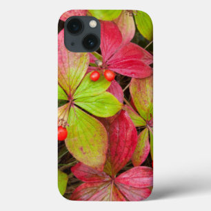 Case-Mate iPhone Case Canada, British Columbia, Mount Robson