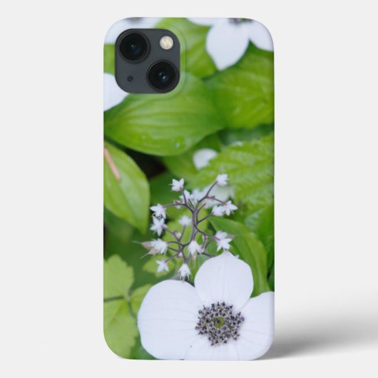 Coques Case-Mate iPhone Canada, Colombie-Britannique. Cornouiller nain (Verso)