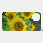 Coques Case-Mate iPhone Canada, Colombie-Britannique, Île de Vancouver 5 (Verso (horizontal))