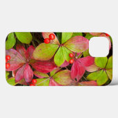 Coques Case-Mate iPhone Canada, Colombie-Britannique, Mont Robson (Verso (horizontal))