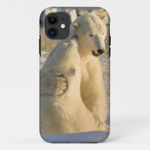 Etui iPhone Case-Mate Canada, Manitoba, baie d'Hudson, Churchill.