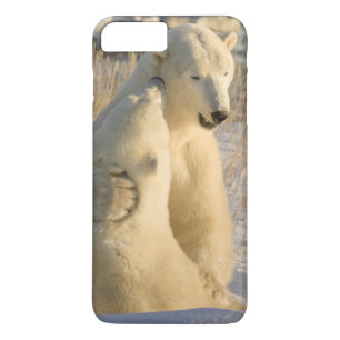 Coque iPhone 7 Plus Canada, Manitoba, baie d'Hudson, Churchill.