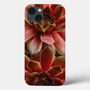 Case-Mate iPhone Case Canada, plans succulents