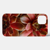 Coques Case-Mate iPhone Canada, plans succulents (Verso (horizontal))