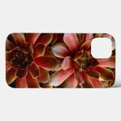 Coques Case-Mate iPhone Canada, . Plante grasse (Verso (horizontal))