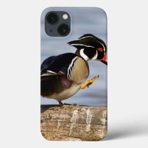 Etui iPhone 13 Canard branchu sur une bûche dans une zone humide
