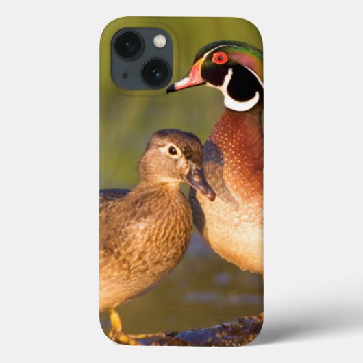 Coques Case-Mate iPhone Canards à bois et femelles en bois dans les zones (Verso)