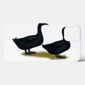 Coques Case-Mate iPhone Canards : Cayugas noirs (Verso (horizontal))