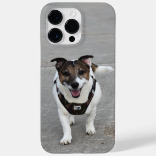 Coque Pour Pour iPhone 14 Pro Max Capo von Oppenheim, chien Terrier Jack Russell
