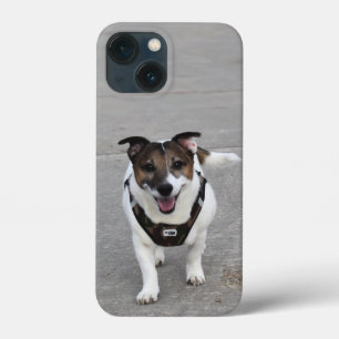 Case-Mate iPhone Case Capo von Oppenheim, Jack Russell Terrier Chien