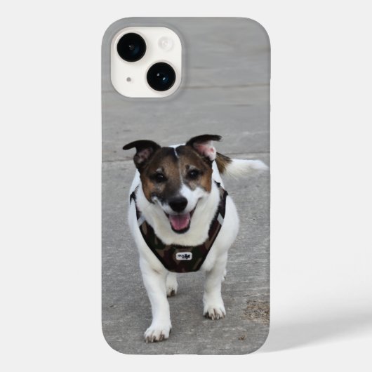 Coques Case-Mate iPhone Capo von Oppenheim, Jack Russell Terrier Chien (Verso)