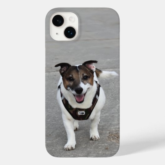 Coques Case-Mate iPhone Capo von Oppenheim, Jack Russell Terrier Chien (Verso)