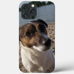Case-Mate iPhone Case Capo von Oppenheim Jack Russell Terrier, Chien
