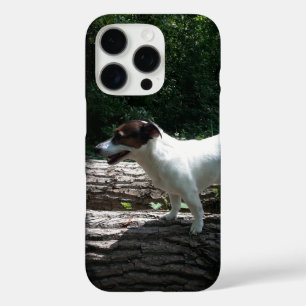 Coques iPhone 16 Pro Capo von Oppenheim Jack Russell Terrier, Chien