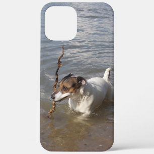 Case-Mate iPhone Case Capo von Oppenheim Jack Russell Terrier, Chien