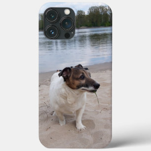 Case-Mate iPhone Case Capo von Oppenheim, Jack Russell Terrier Chien