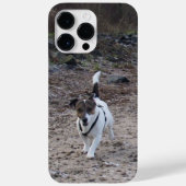 Coques Case-Mate iPhone Capo von Oppenheim, Jack Russell Terrier Chien (Verso)