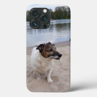 Capo von Oppenheim, Jack Russell Terrier Chien