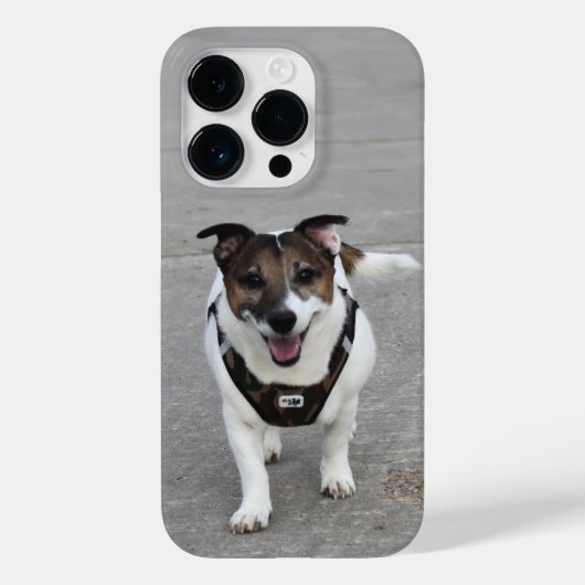 Coques Case-Mate iPhone Capo von Oppenheim, Jack Russell Terrier Chien (Verso)
