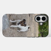 Coques Case-Mate iPhone Capo von Oppenheim Jack Russell Terrier, Chien (Verso (horizontal))