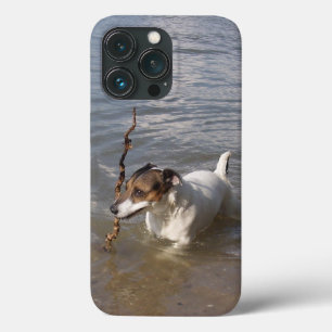 Case-Mate iPhone Case Capo von Oppenheim Jack Russell Terrier, Chien