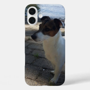 Coques iPhone 16 Plus Capo von Oppenheim Jack Russell Terrier, Chien