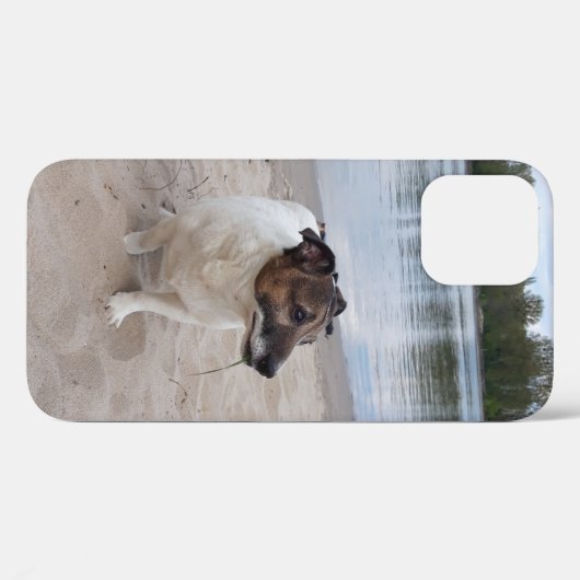 Coques Case-Mate iPhone Capo von Oppenheim, Jack Russell Terrier Chien (Verso (horizontal))