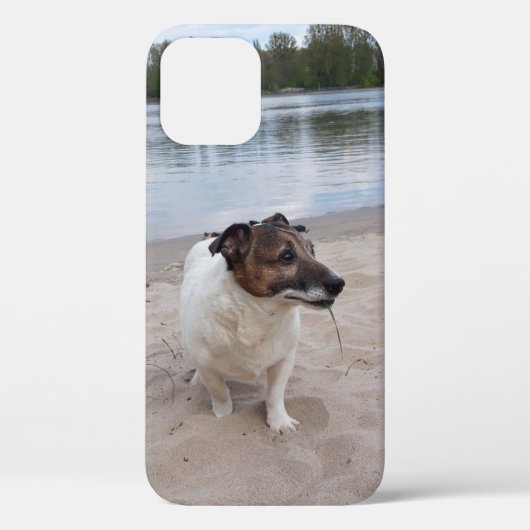 Coques Case-Mate iPhone Capo von Oppenheim, Jack Russell Terrier Chien (Verso)