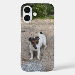 Coques iPhone 16 Capo von Oppenheim Jack Russell Terrier, Chien
