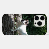 Coques Case-Mate iPhone Capo von Oppenheim Jack Russell Terrier, Chien (Verso (horizontal))