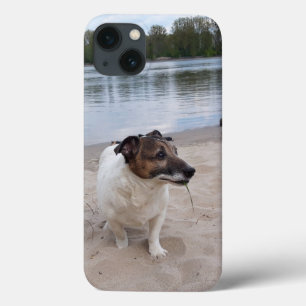 Case-Mate iPhone Case Capo von Oppenheim, Jack Russell Terrier Chien