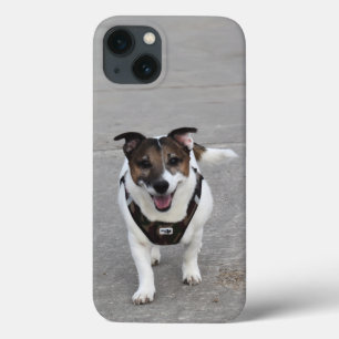 Case-Mate iPhone Case Capo von Oppenheim, Jack Russell Terrier Chien