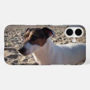 Coques iPhone 16 Plus Capo von Oppenheim Jack Russell Terrier, Chien
