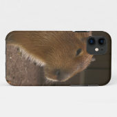 Coques Case-Mate iPhone Capybara (Dos (Horizontal))