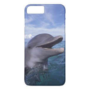 Coques Pour iPhone Caraïbes, Bottlenose