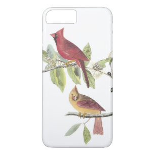 Coque Case-Mate Pour iPhone Cardinal du nord par Audubon