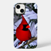 Coques Case-Mate iPhone Cardinal rouge d'hiver (Verso)