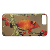 Coques Case-Mate iPhone Cardinal rouge mâle perché, IL (Dos (Horizontal))