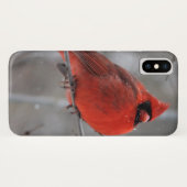 Coques Case-Mate iPhone Cardinal roux brillant en neige hivernale (Dos (Horizontal))