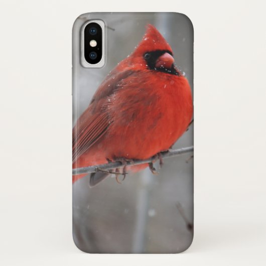 Coques Case-Mate iPhone Cardinal roux brillant en neige hivernale (Dos)