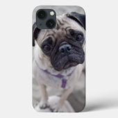 Coques Case-Mate iPhone Carlin (Verso)