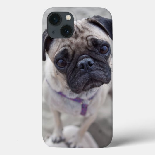 Coques Case-Mate iPhone Carlin (Verso)