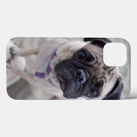 Coques Case-Mate iPhone Carlin (Verso (horizontal))