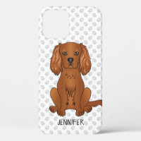 Carlin Cavalier King Charles Spaniel & Nom